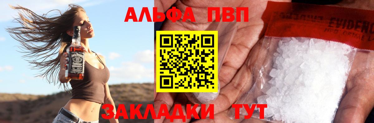 Альфа ПВП СК КРИС Кузнецк