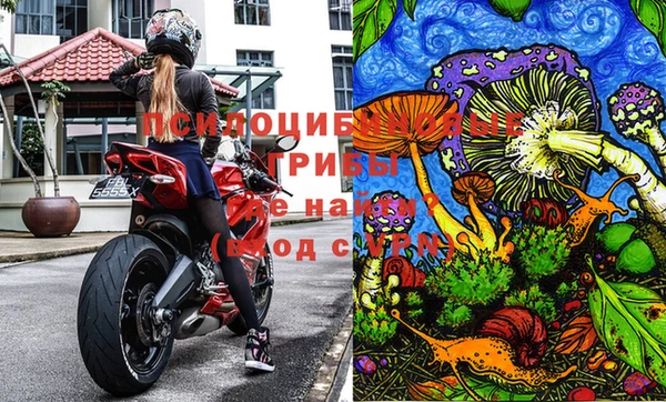 прущая мука Карпинск
