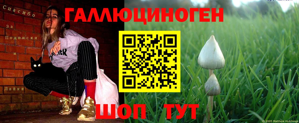 Псилоцибиновые грибы Cubensis Кузнецк