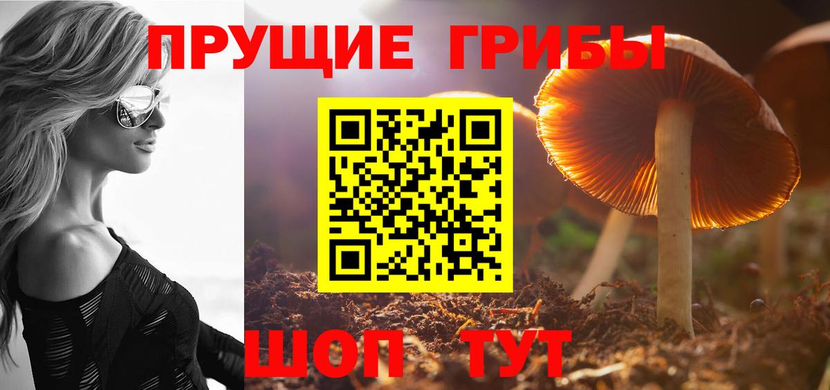 Кузнецк  Галлюциногенные грибы Cubensis  Вход с VPN  Галлюциногенные грибы ЛСД 